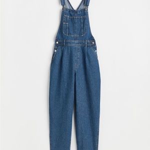 H&M Mom Fit Denim Overalls